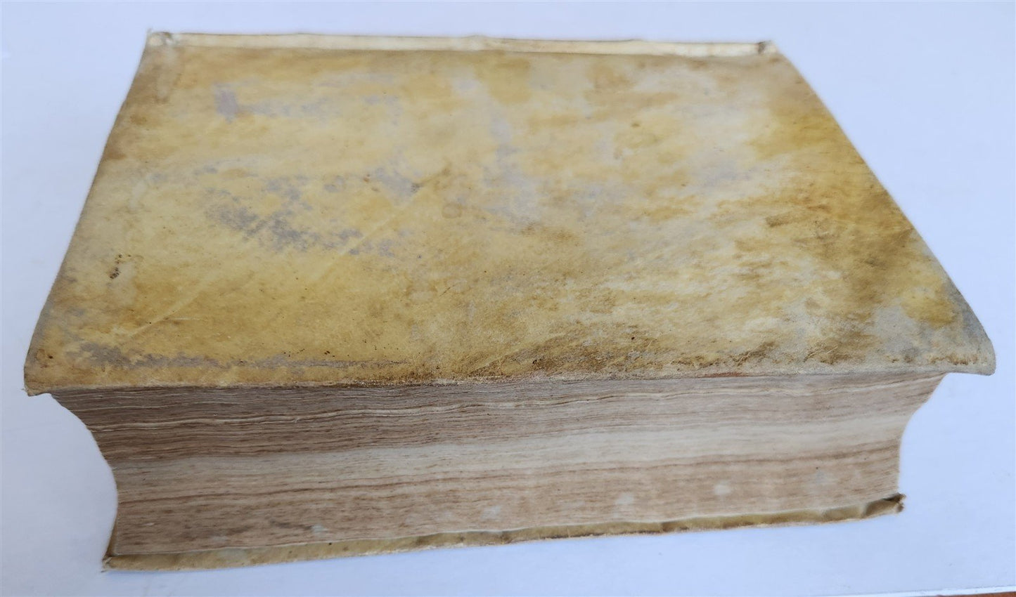 1616 Ephemerides Coelestium Motuum ANTIQUE astronomy astrology Giovanni Magini