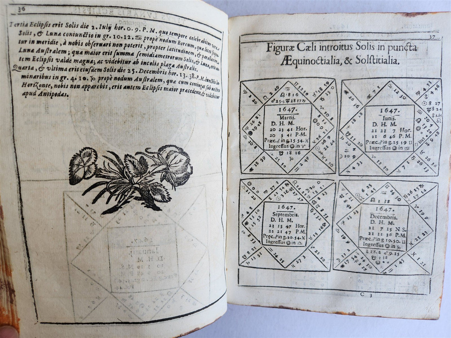 1640 Ephemerides Motuum Coelestium ANTIQUE astronomy astrology F.Montebruni
