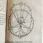 1608 ASTRONOMY aligned w/ N.COPERNICUS by G. Magini ANTIQUE illustrated