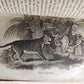 1818 HISTORY of ANIMALS ILLUSTRATED w/ 65 PLATES antique 6 VOLUMES
