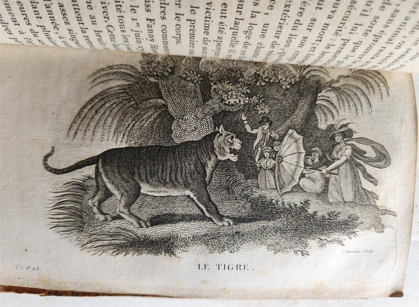 1818 HISTORY of ANIMALS ILLUSTRATED w/ 65 PLATES antique 6 VOLUMES