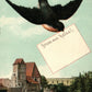 GERMANY HALLE SAALE ANTIQUE POSTCARD
