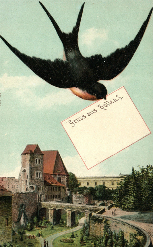 GERMANY HALLE SAALE ANTIQUE POSTCARD