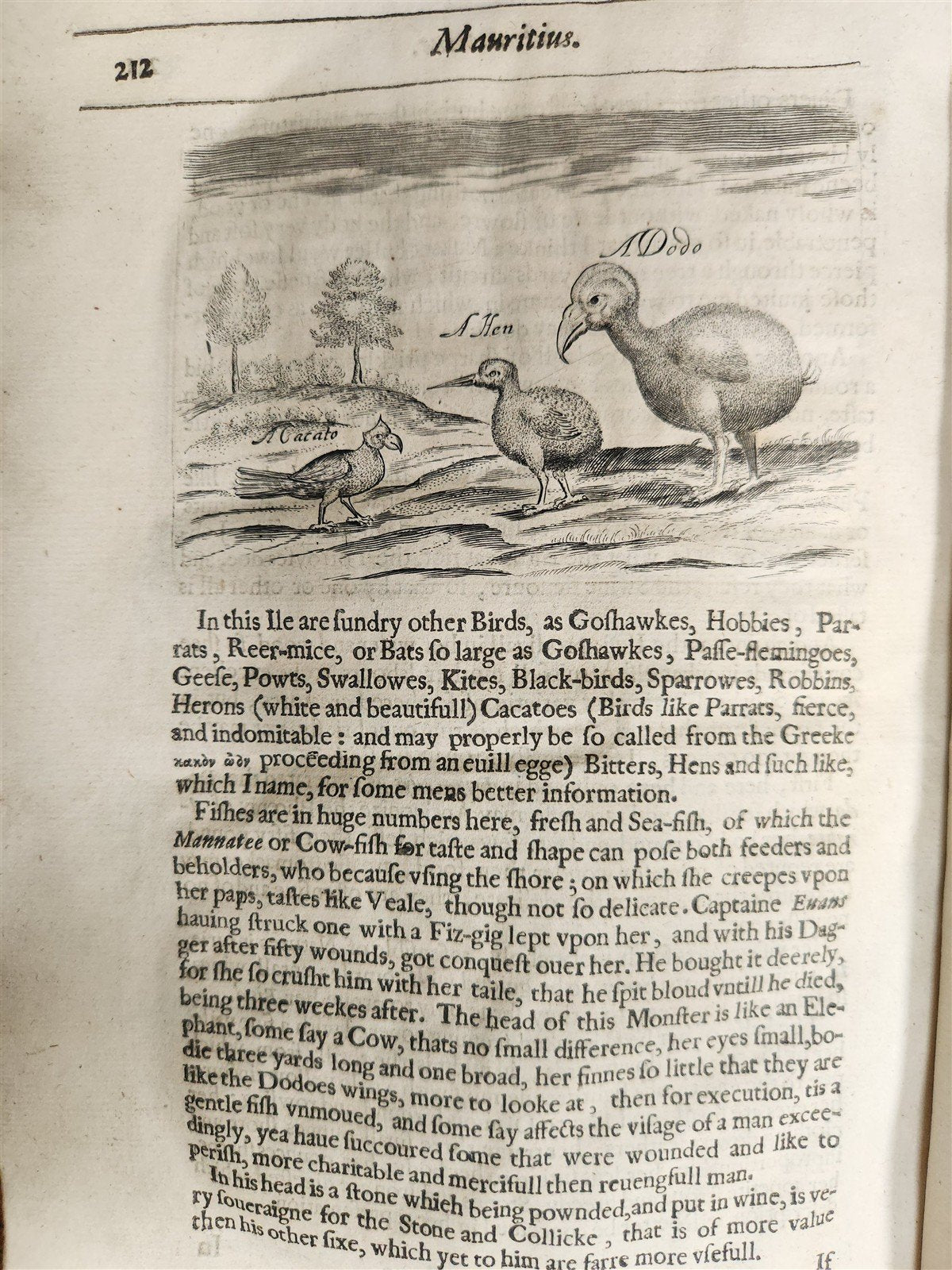 1634 DESCRIPTION of PERSIAN MONARCHY illustrated ANTIQUE in ENGLISH Th.Herbert