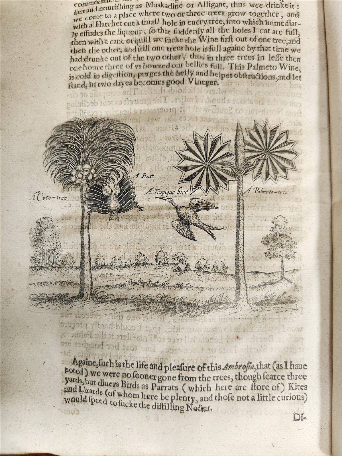 1634 DESCRIPTION of PERSIAN MONARCHY illustrated ANTIQUE in ENGLISH Th.Herbert
