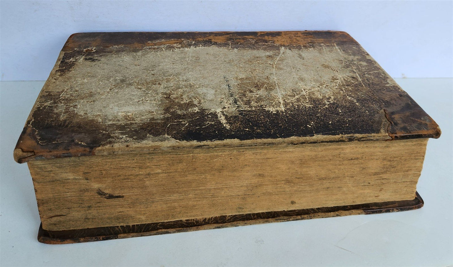 1590 BIBLE in GERMAN ILLUSTRATED by Bocksberger & J. Amman FOLIO antique GERMAN