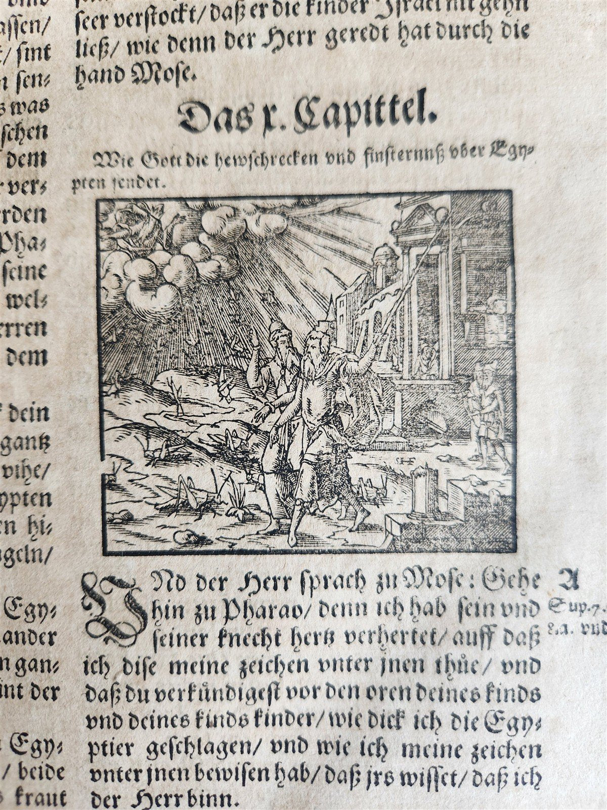 1590 BIBLE in GERMAN ILLUSTRATED by Bocksberger & J. Amman FOLIO antique GERMAN