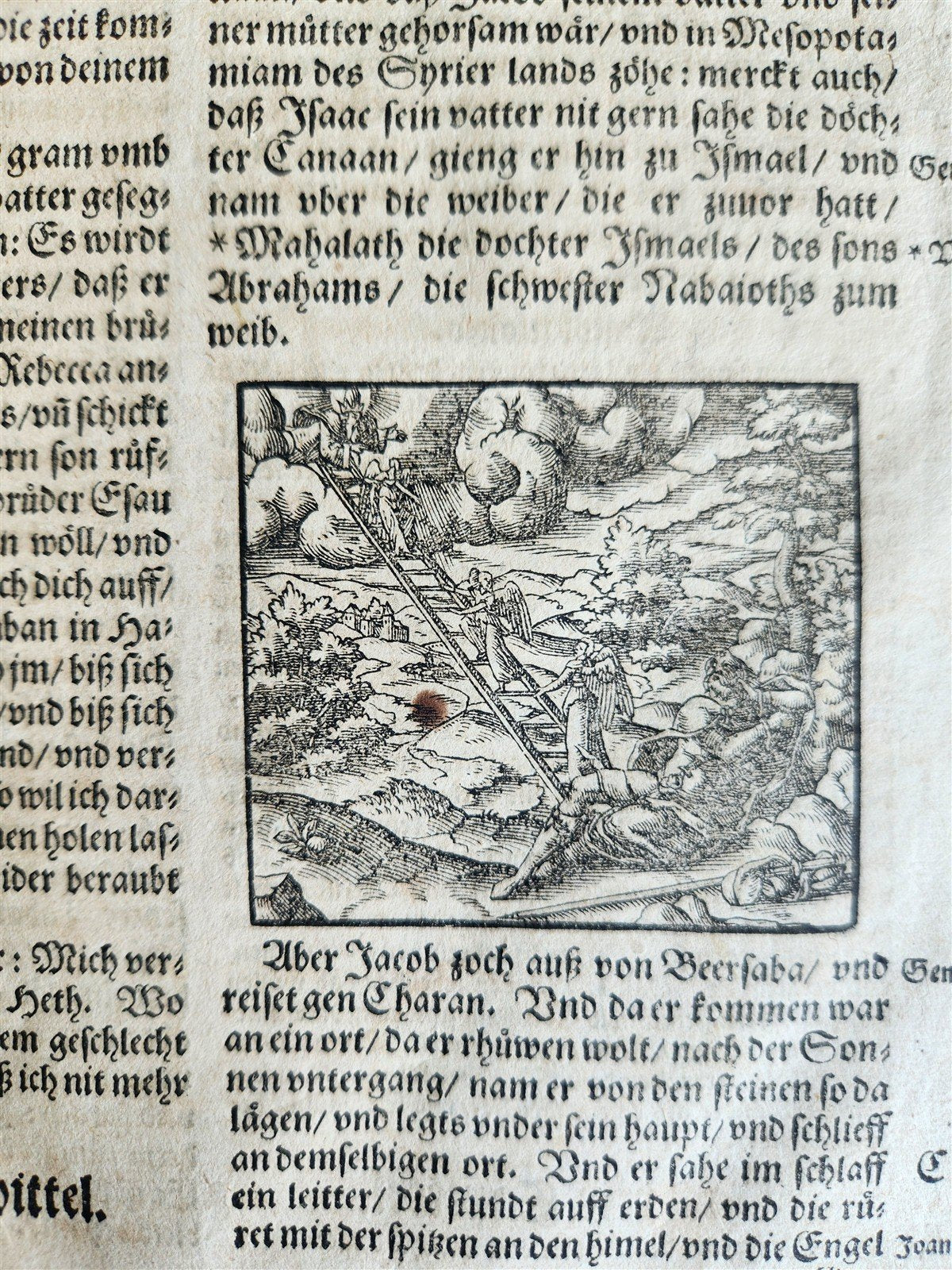 1590 BIBLE in GERMAN ILLUSTRATED by Bocksberger & J. Amman FOLIO antique GERMAN