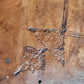 1706 Onomasticum Graece & Latine by Julius Pollux 2 FOLIO VOLUMES antique