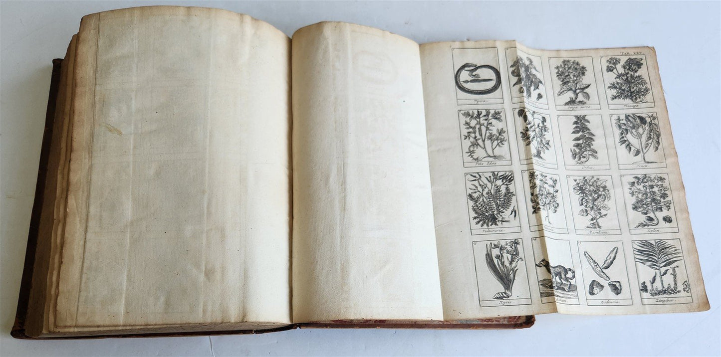 1727 PHARMACOPEIA ILLUSTRATED Dictionary or Treatise on Simple Drugs antique