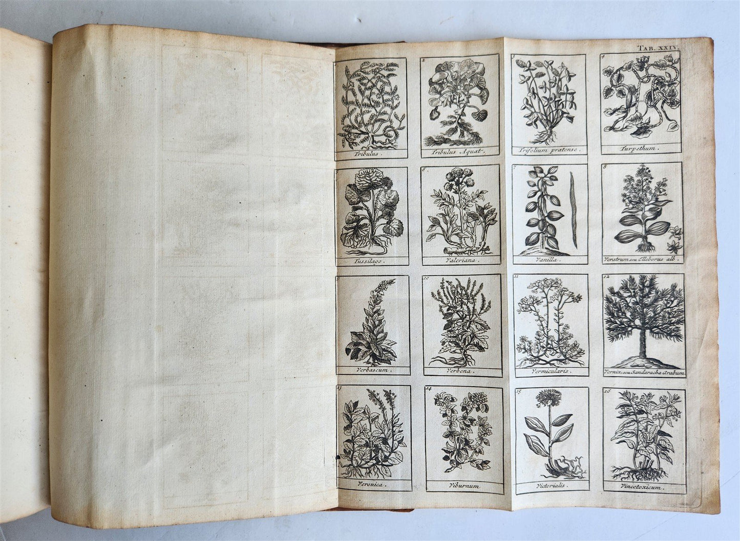 1727 PHARMACOPEIA ILLUSTRATED Dictionary or Treatise on Simple Drugs antique
