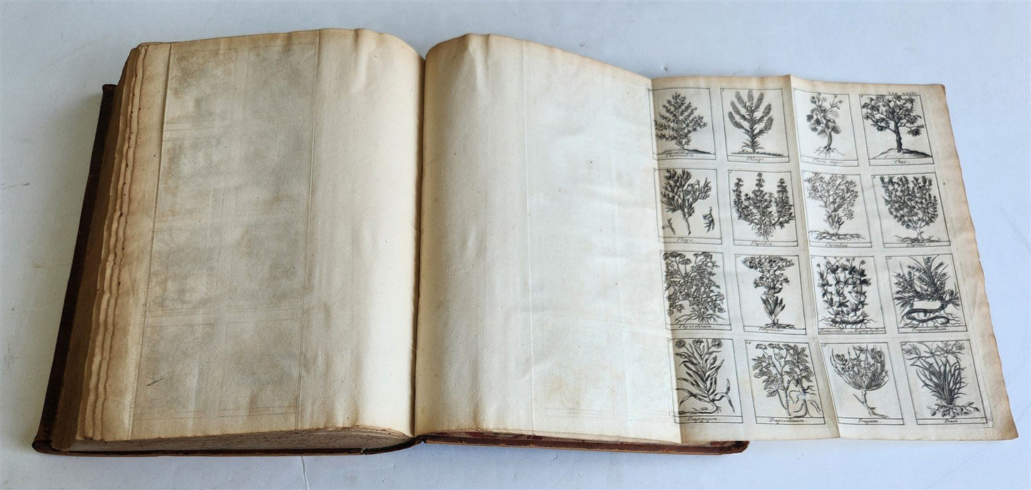 1727 PHARMACOPEIA ILLUSTRATED Dictionary or Treatise on Simple Drugs antique
