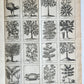 1727 PHARMACOPEIA ILLUSTRATED Dictionary or Treatise on Simple Drugs antique