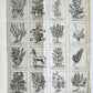 1727 PHARMACOPEIA ILLUSTRATED Dictionary or Treatise on Simple Drugs antique