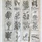 1727 PHARMACOPEIA ILLUSTRATED Dictionary or Treatise on Simple Drugs antique