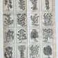 1727 PHARMACOPEIA ILLUSTRATED Dictionary or Treatise on Simple Drugs antique