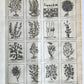 1727 PHARMACOPEIA ILLUSTRATED Dictionary or Treatise on Simple Drugs antique