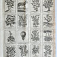 1727 PHARMACOPEIA ILLUSTRATED Dictionary or Treatise on Simple Drugs antique