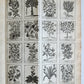 1727 PHARMACOPEIA ILLUSTRATED Dictionary or Treatise on Simple Drugs antique