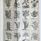 1727 PHARMACOPEIA ILLUSTRATED Dictionary or Treatise on Simple Drugs antique