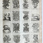 1727 PHARMACOPEIA ILLUSTRATED Dictionary or Treatise on Simple Drugs antique