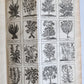 1727 PHARMACOPEIA ILLUSTRATED Dictionary or Treatise on Simple Drugs antique