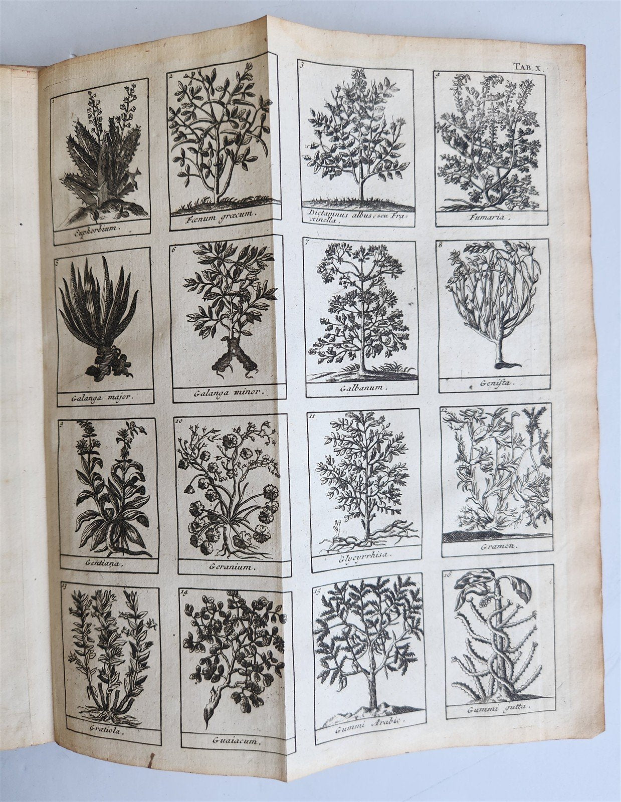 1727 PHARMACOPEIA ILLUSTRATED Dictionary or Treatise on Simple Drugs antique