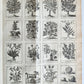 1727 PHARMACOPEIA ILLUSTRATED Dictionary or Treatise on Simple Drugs antique