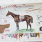 1890 MOSEMAN'S EQUESTRIAN TRADE CATALOG antique ILLUSTRATED FOLIO Americana