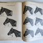 1890 MOSEMAN'S EQUESTRIAN TRADE CATALOG antique ILLUSTRATED FOLIO Americana