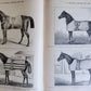 1890 MOSEMAN'S EQUESTRIAN TRADE CATALOG antique ILLUSTRATED FOLIO Americana