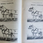 1890 MOSEMAN'S EQUESTRIAN TRADE CATALOG antique ILLUSTRATED FOLIO Americana