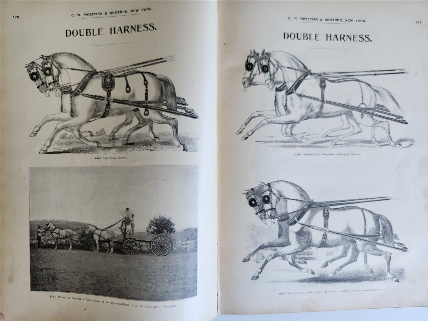 1890 MOSEMAN'S EQUESTRIAN TRADE CATALOG antique ILLUSTRATED FOLIO Americana