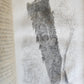 1841 Incidents of Travel in Central America Chiapas Yucatan antique ILLUSTRATED