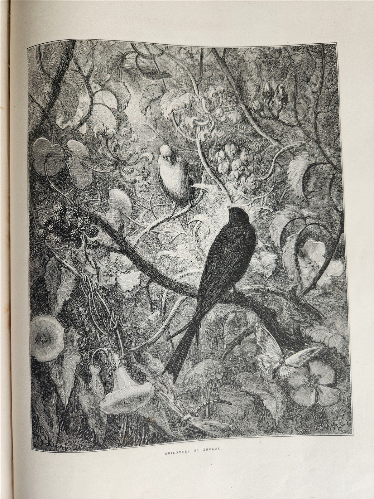 1868 FABLES by JEAN de LA FONTAINE illustrated by GUSTAVE DORE antique FOLIO