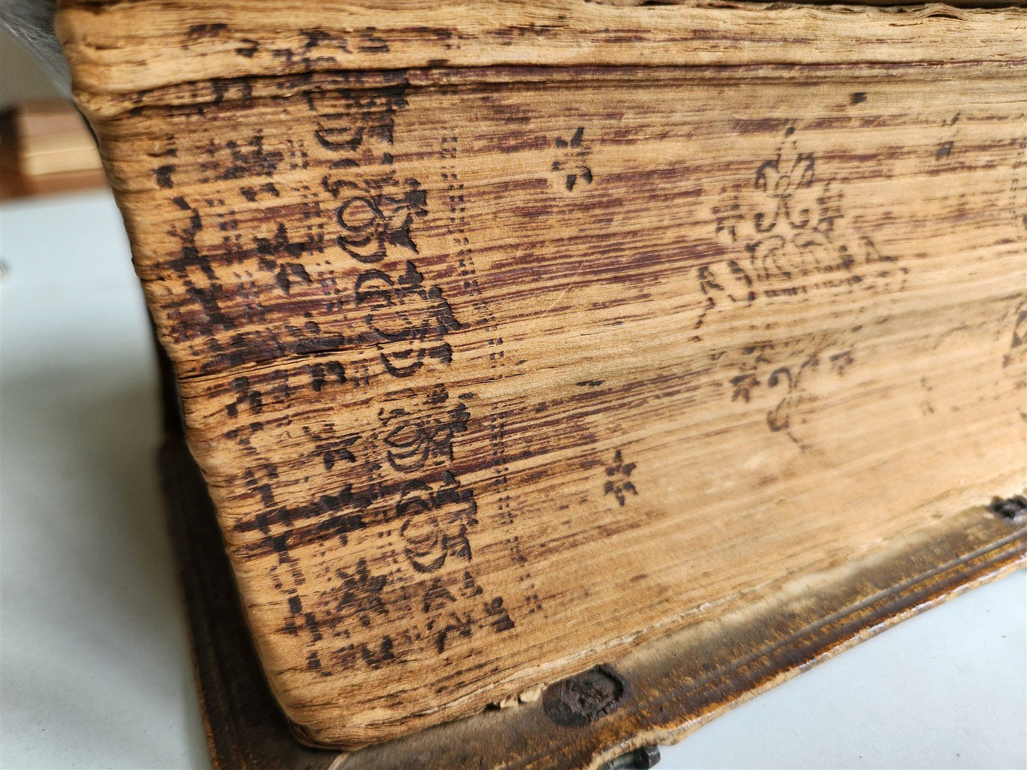 1585 BIBLE ILLUSTRATED antique ORIGINAL PIGSKIN BINDING LATIN BIBLIA SACRA 16 c.