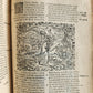 1585 BIBLE ILLUSTRATED antique ORIGINAL PIGSKIN BINDING LATIN BIBLIA SACRA 16 c.