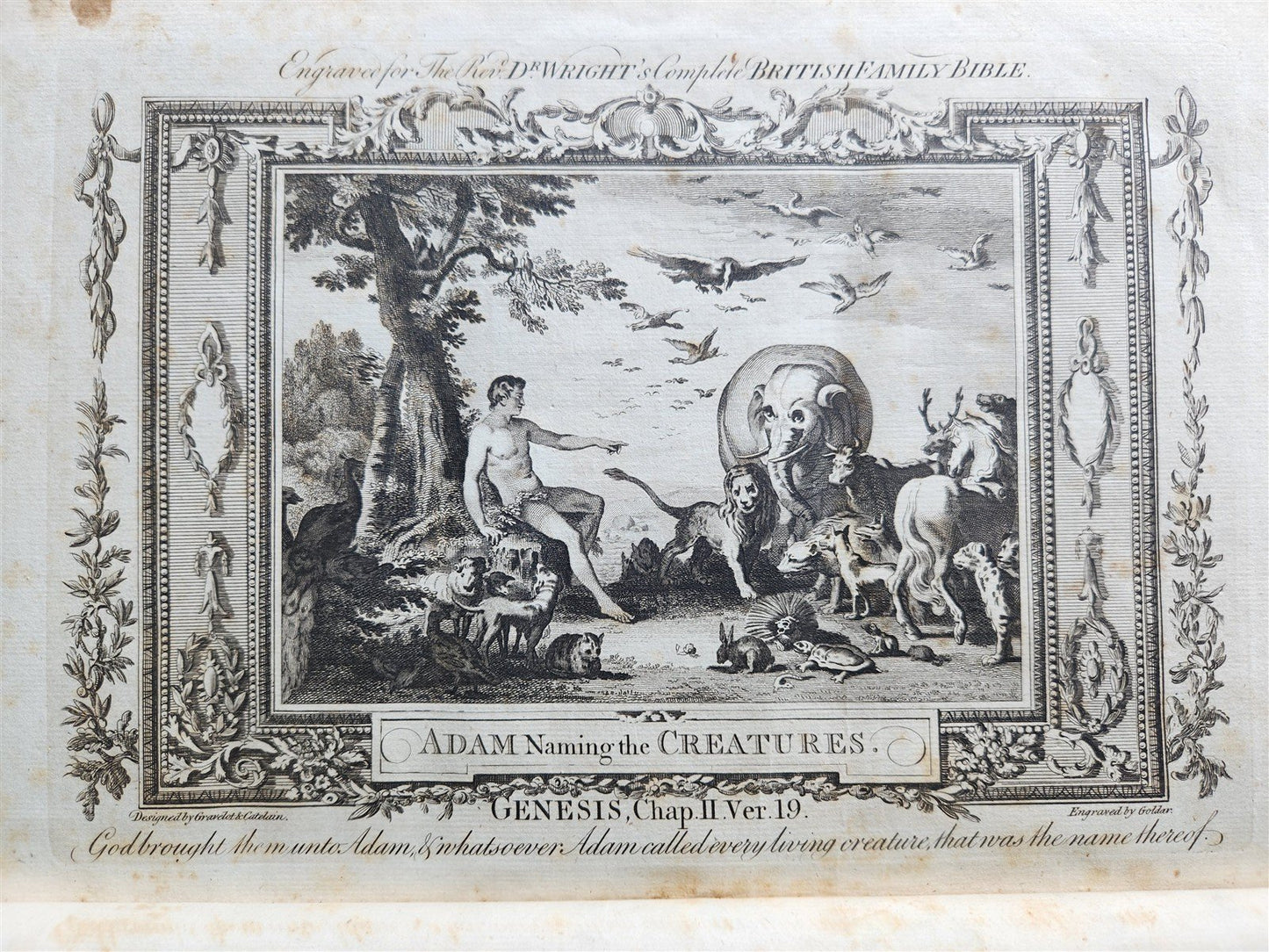 1781 BIBLE in ENGLISH ILLUSTRATED w/ MAPS & 96 PLATES antique FOLIO
