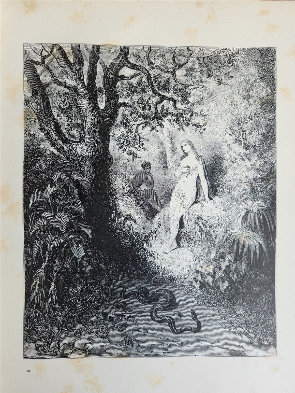 1884 MILTON'S PARADISE LOST illustrated by GUSTAVE DORE antique FOLIO in DUTCH