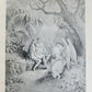 1884 MILTON'S PARADISE LOST illustrated by GUSTAVE DORE antique FOLIO in DUTCH