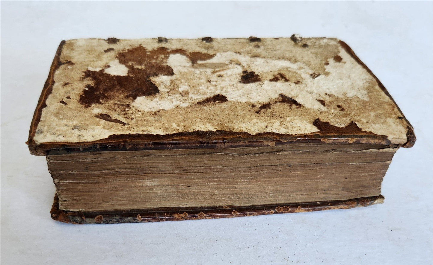 1575 MORAL STORIES by PORTUGUESE HUMANIST ANDRE de RESENDE antique 16th CENTURY