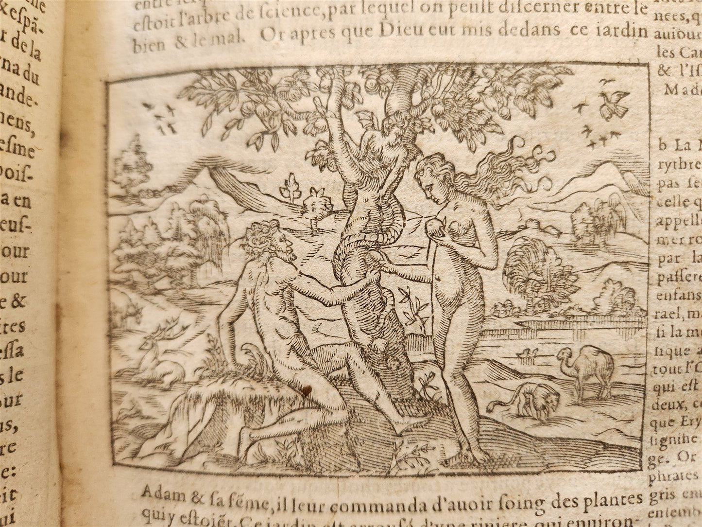 1588 JOSEPHUS FLAVIUS HISTORY antique 16th CENTURY illustrated VELLUM BINDING