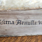 1559 THEOLOGY by Bartolomeo Fumo antique 16th CENTURY VELLUM BINDING