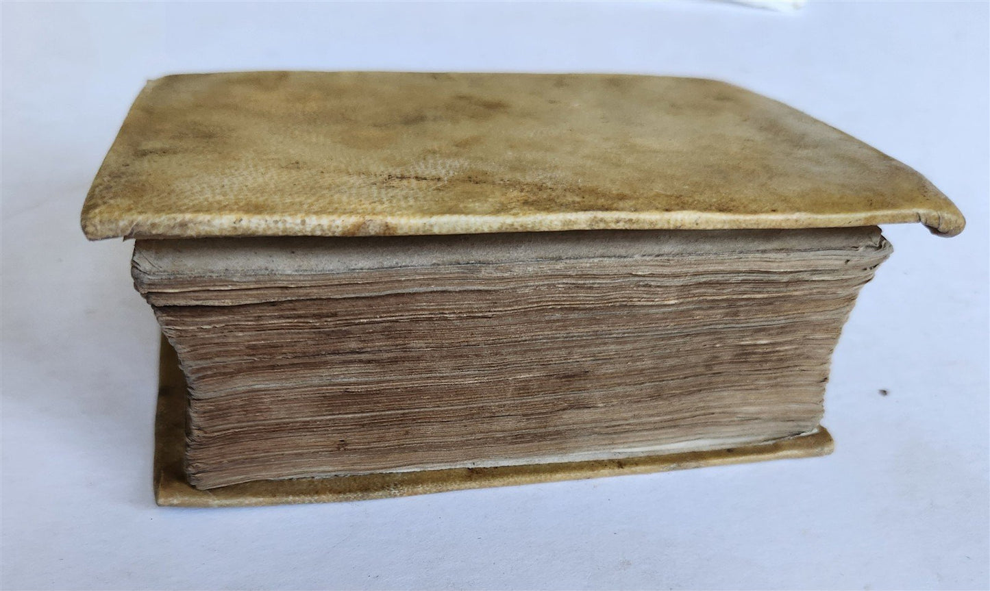 1559 HISTORY of PROTESTANT REFORMATION & BABYLONIAN PERSIAN GREEK & ROMAN EMPIRE