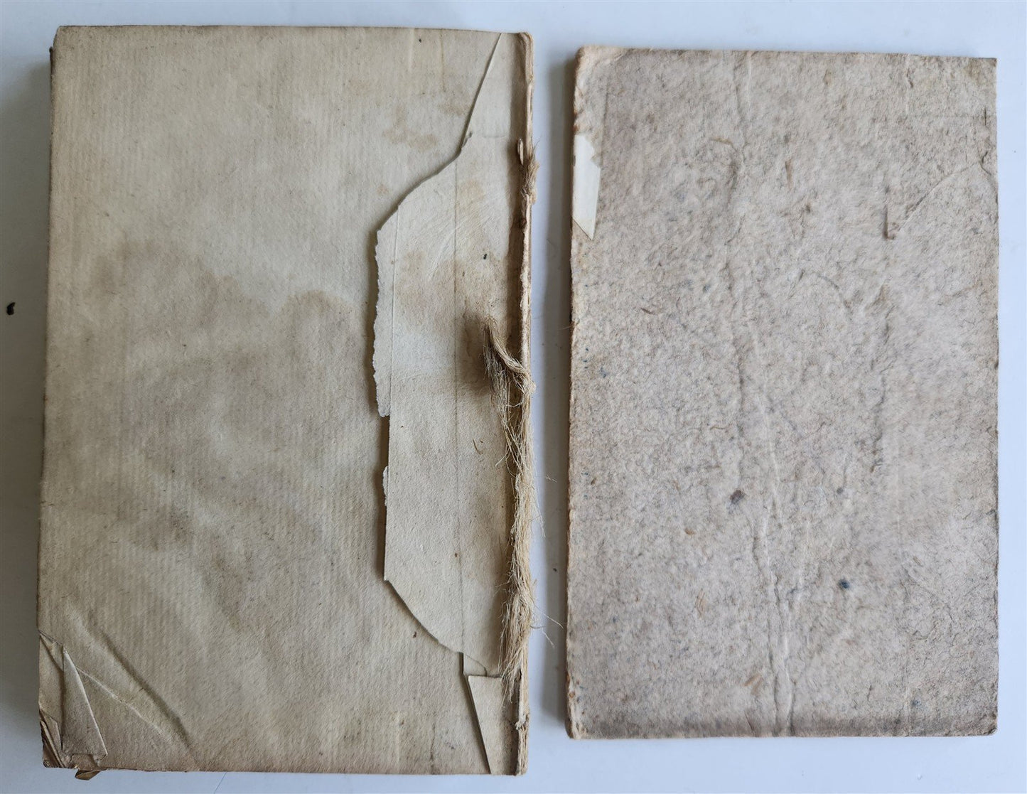 1599 THEOPHRASTUS Notationes Morum ANTIQUE 16th CENTURY
