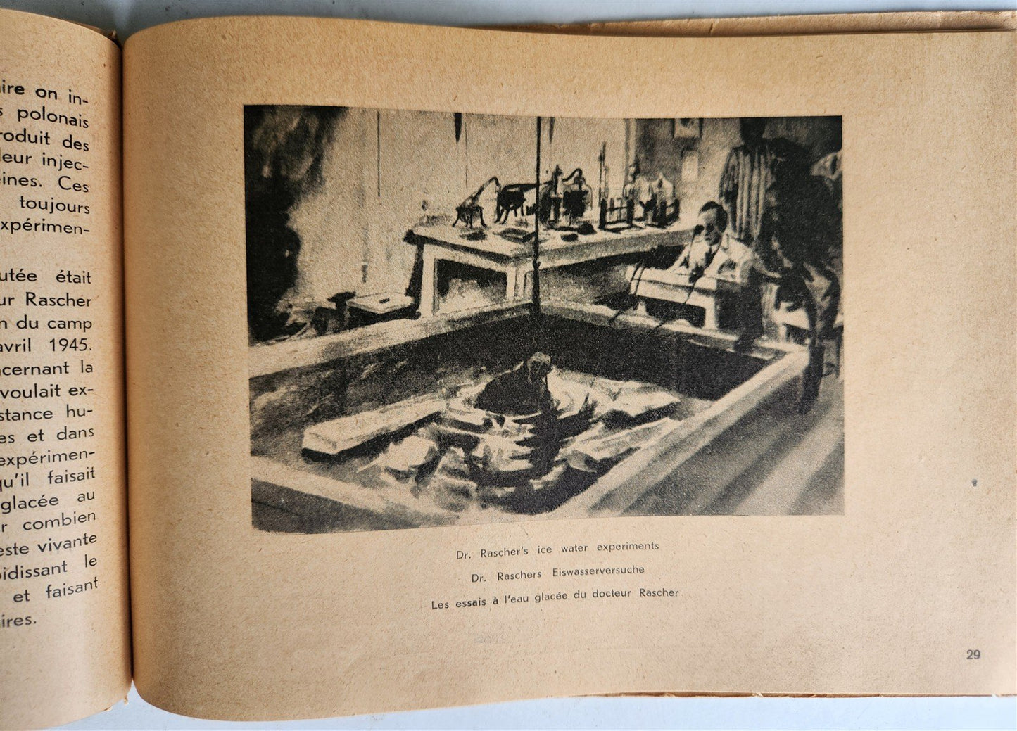 1950 GUIDE TRHOUGH DACHAU CONCENTRATION CAMP MEMORIAL SITES ANTIQUE illustrated