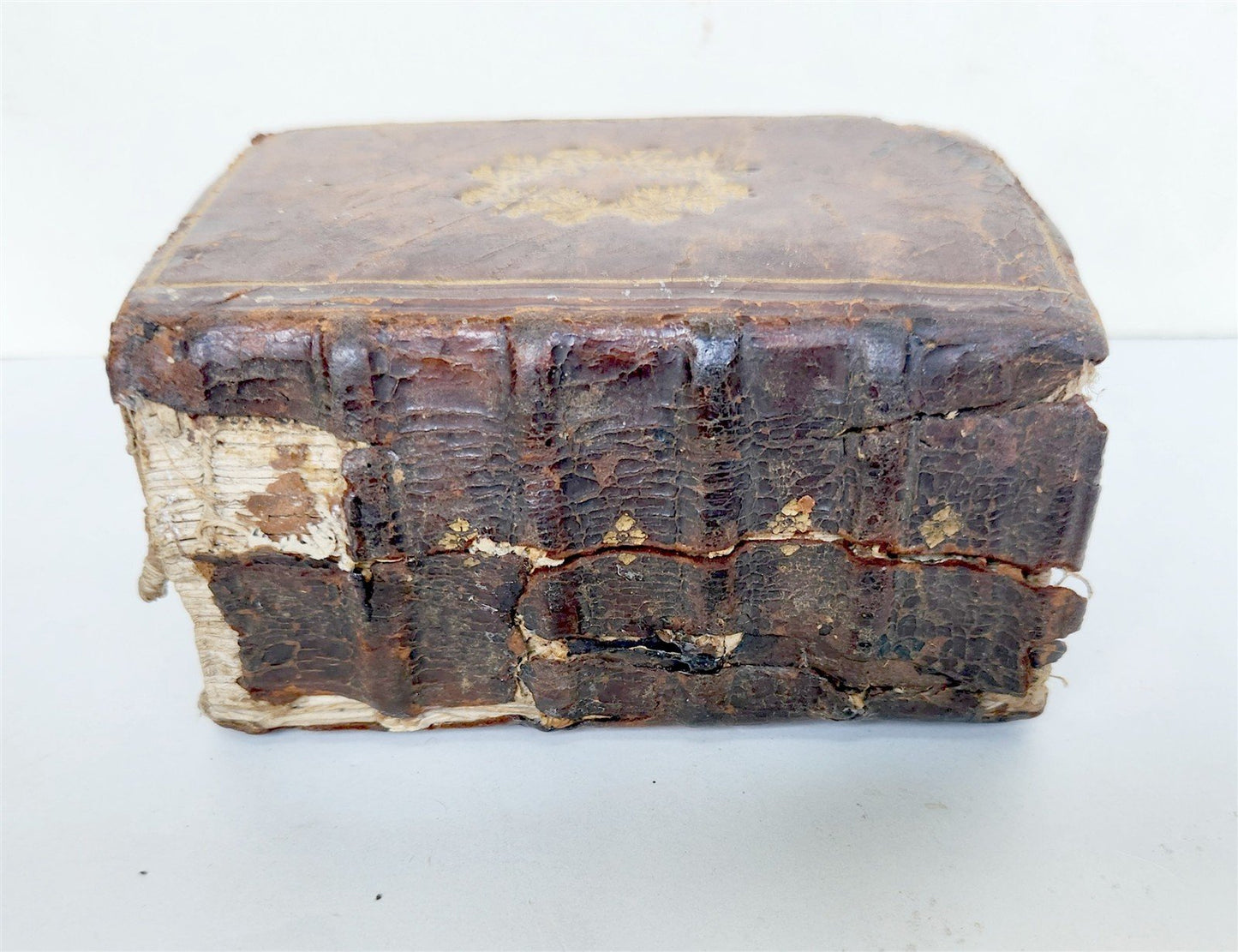 1573 LAW BOOK Institutionum Forensium ANTIQUE original 16th century binding