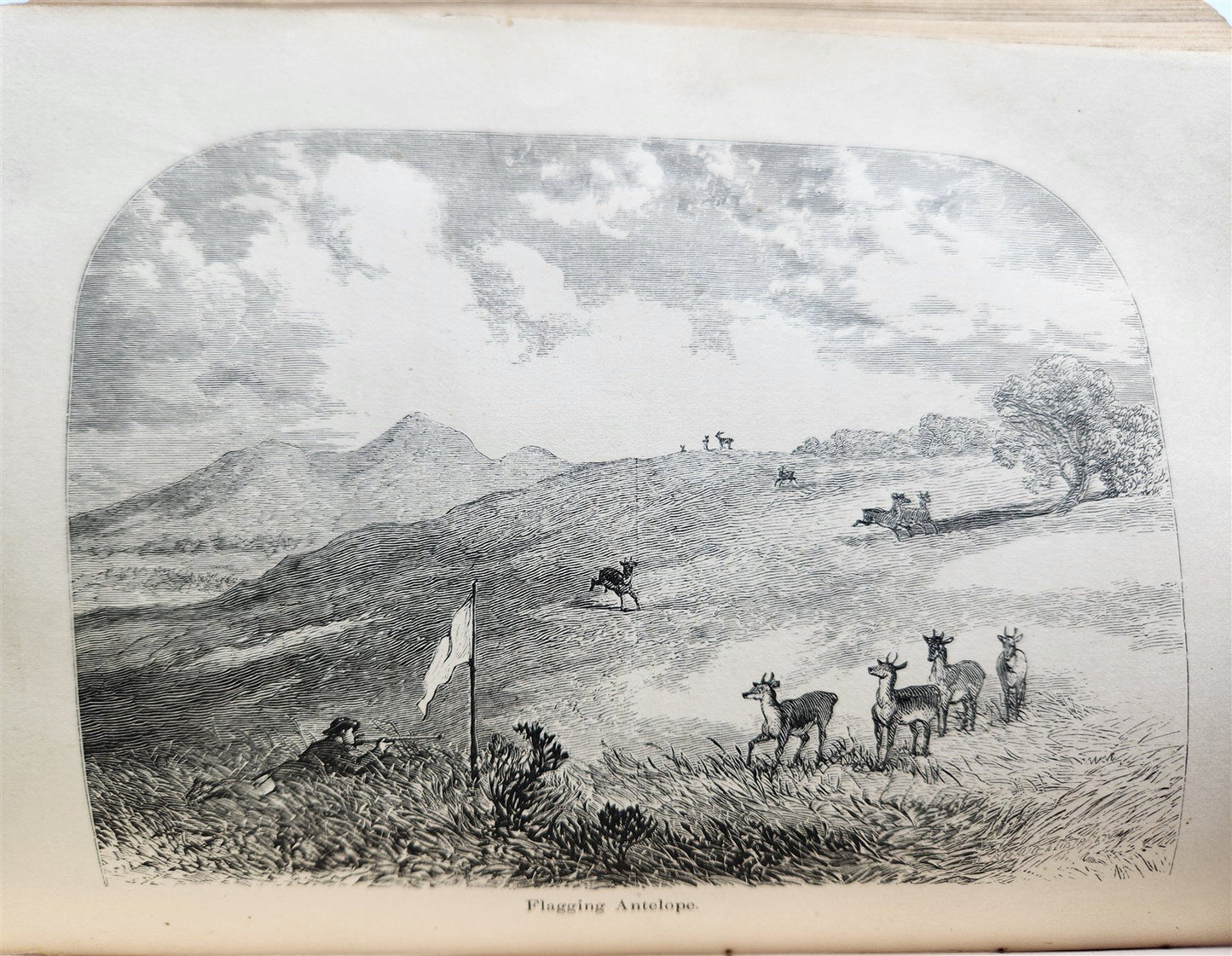1870 BELDEN WHITE CHIEF 12 YEARS among WILD INDIANS OF THE PLAINS antique