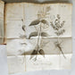1778 DE LEPRA COMMENTATIONES antique ILLUSTRATED LEPROSY MEDICAL TREATISE