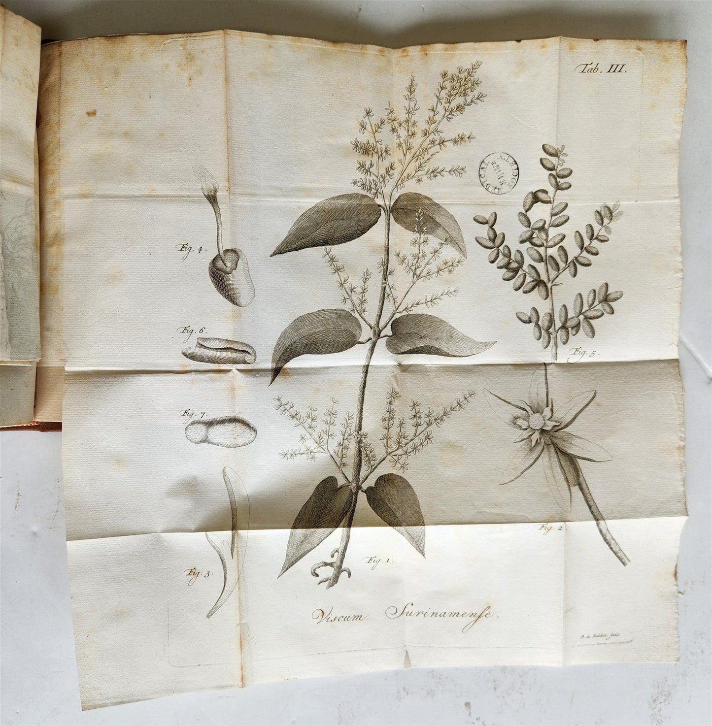 1778 DE LEPRA COMMENTATIONES antique ILLUSTRATED LEPROSY MEDICAL TREATISE